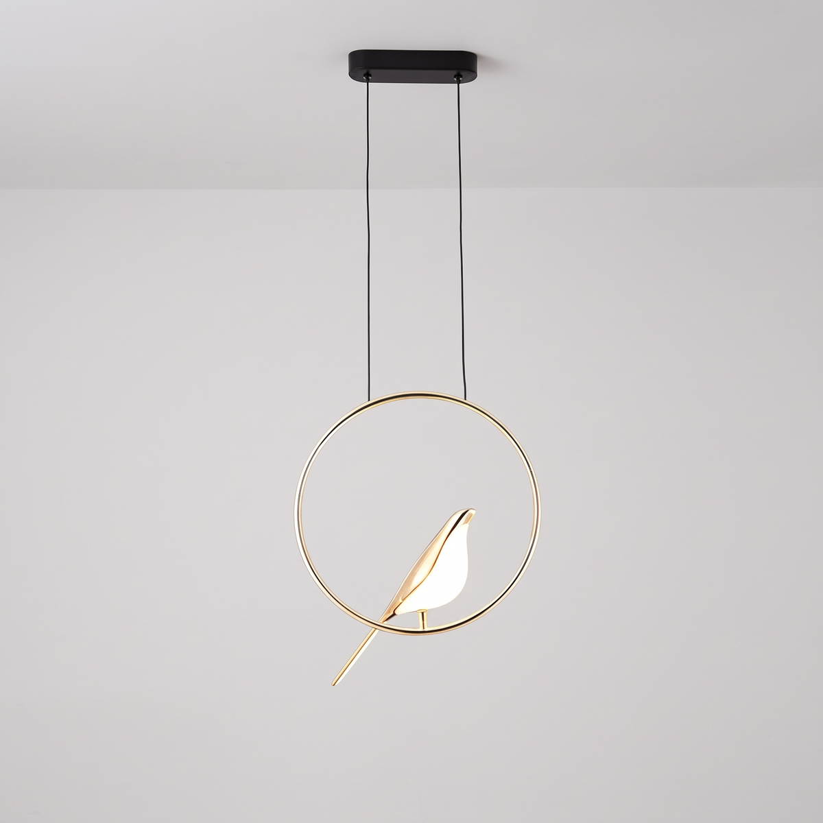 Magpie pendant light, curved gold frame