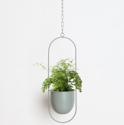 FloraFrame Hanging Planter