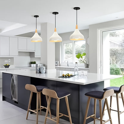 Modern Teardrop Pendant Light