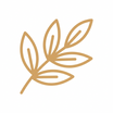 Brand feature icon