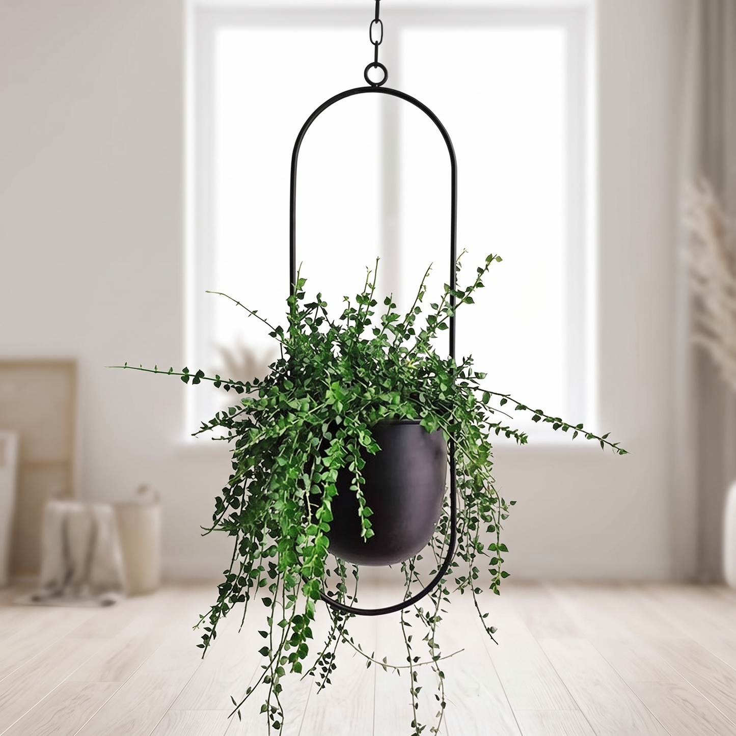 FloraFrame Hanging Planter