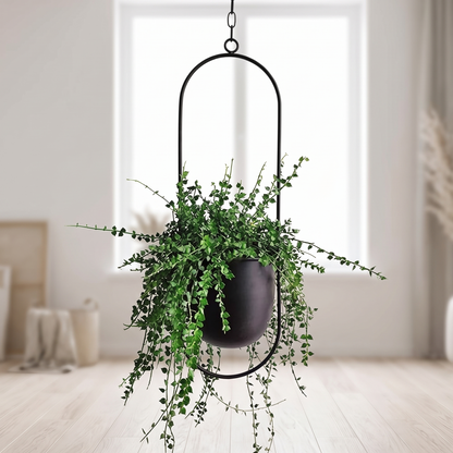 FloraFrame Hanging Planter