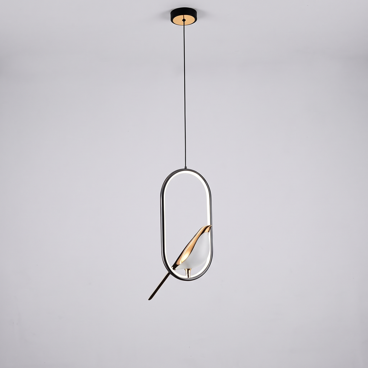 Magpie pendant light, elliptical black and gold frame