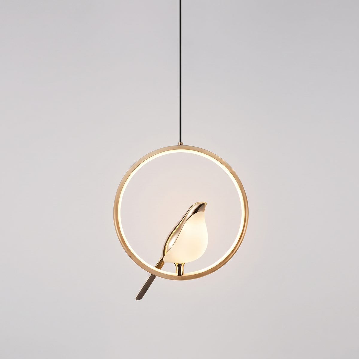 Magpie pendant light, circular gold frame