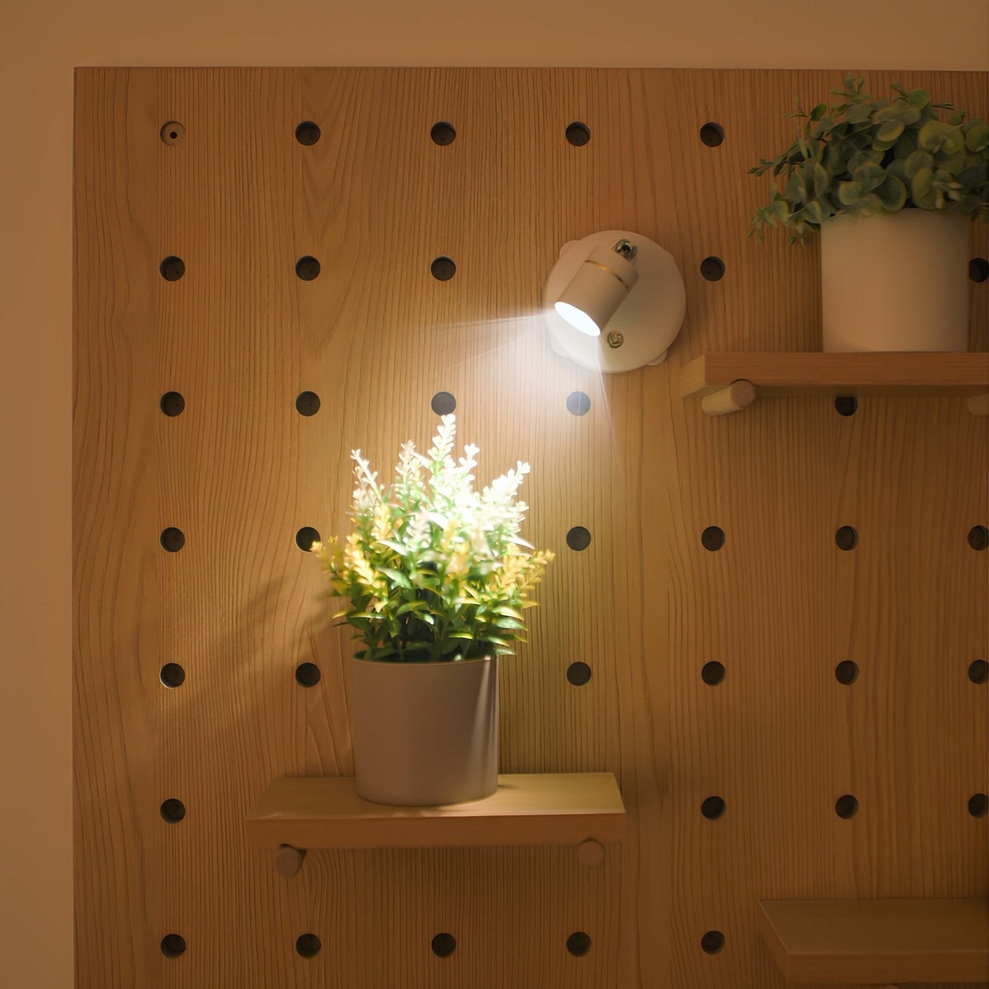 Battery Operated LED Spotlight Sconce
