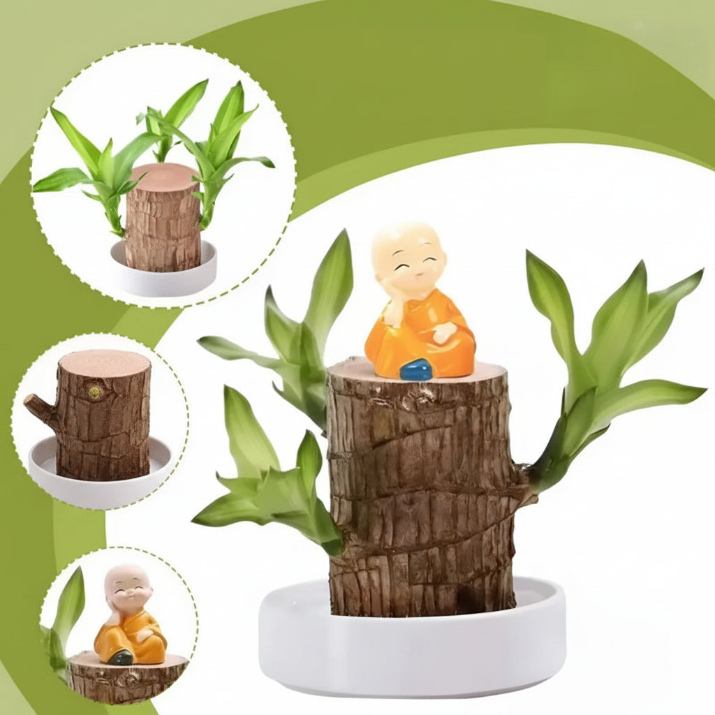 Wood Plant Stand