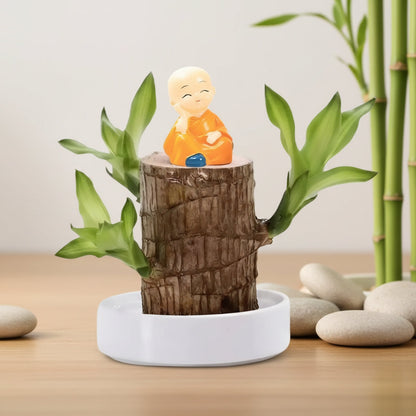 Wood Plant Stand